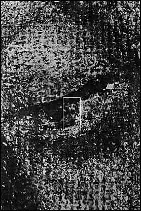 "Busto humano" en el ojo derecho.
