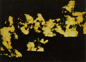 Según Dr. Tonsmann, de izquierda a derecha pueden verse "indio sentado", "obispo Zumárraga", "traductor", "Juan Diego mostrando la tilma" y abajo "grupo familiar".